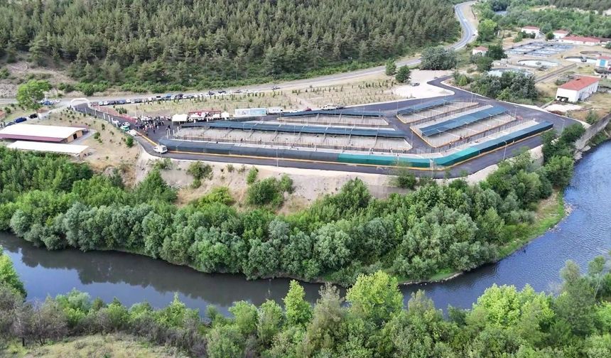 Bu tesiste 3 bin sahipsiz hayvanın barınma, tedavi ve rehabilitasyonu sağlanacak
