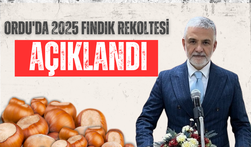Ordu'da 2025 Fındık Rekoltesi Açıklandı