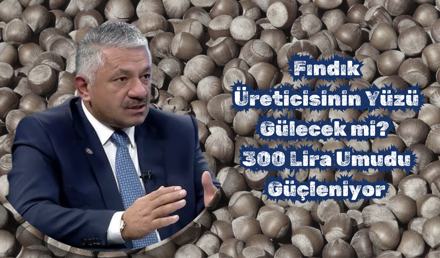 Fındık Üreticisinin Yüzü Gülecek mi? 300 Lira Umudu Güçleniyor