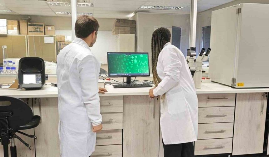 KBÜ Doktora Öğrencisi Güney Afrika’da kanser araştırmalarına katıldı