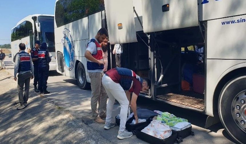 Sinop’ta düzensiz göçmen denetimi