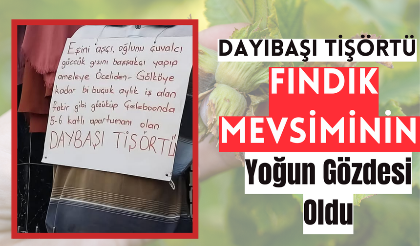 Dayıbaşı Tişörtü Fındık Mevsiminin Gözdesi Oldu: Esnafın Mizahi Paylaşımı Tıklanma Rekoru Kırdı