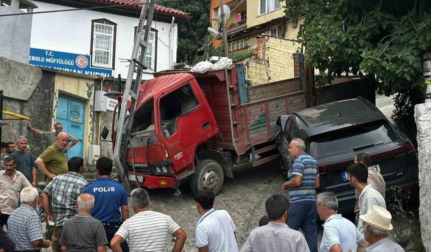 Kontrolden çıkan kamyon park halindeki araç ile elektrik direğine çarparak durabildi