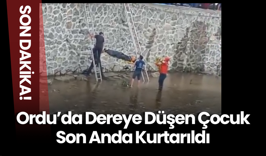 Ordu’da Dereye Düşen Çocuk Son Anda Kurtarıldı