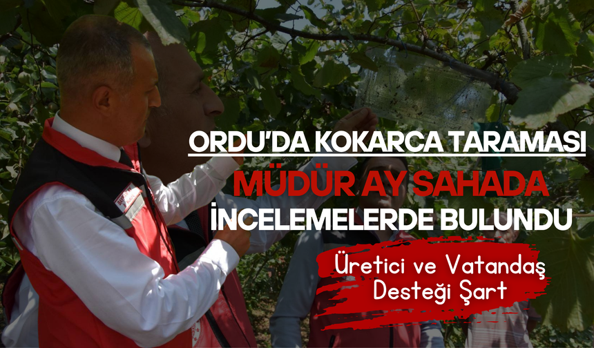 Ordu’da Kokarca Taraması: Müdür Ay Sahada İncelemelerde Bulundu