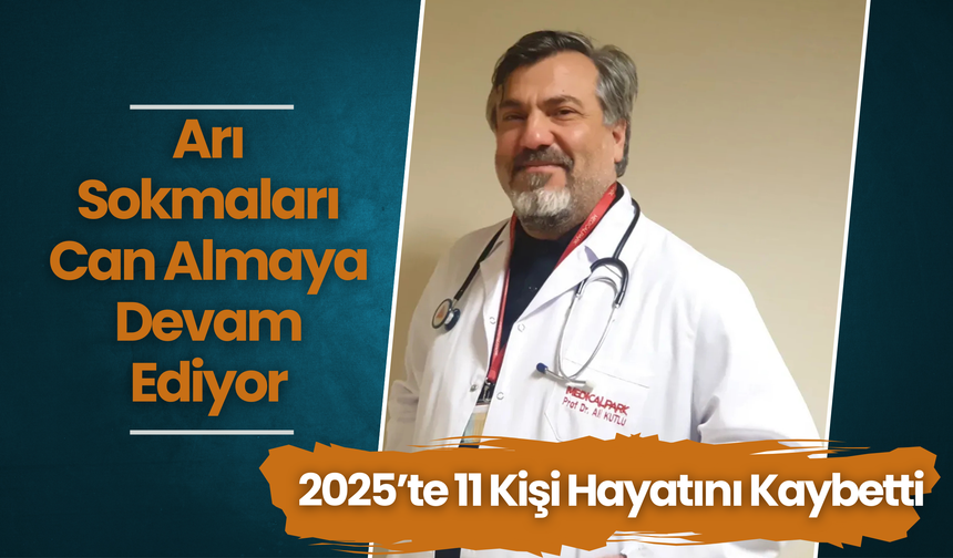 Arı Sokmaları Can Almaya Devam Ediyor: 2025’te 11 Kişi Hayatını Kaybetti