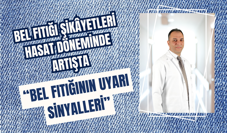 Bel Fıtığı Şikâyetleri Hasat Döneminde Artışta