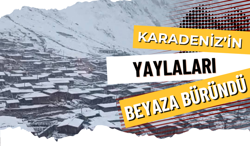 Karadeniz’in Yaylaları Beyaza Büründü