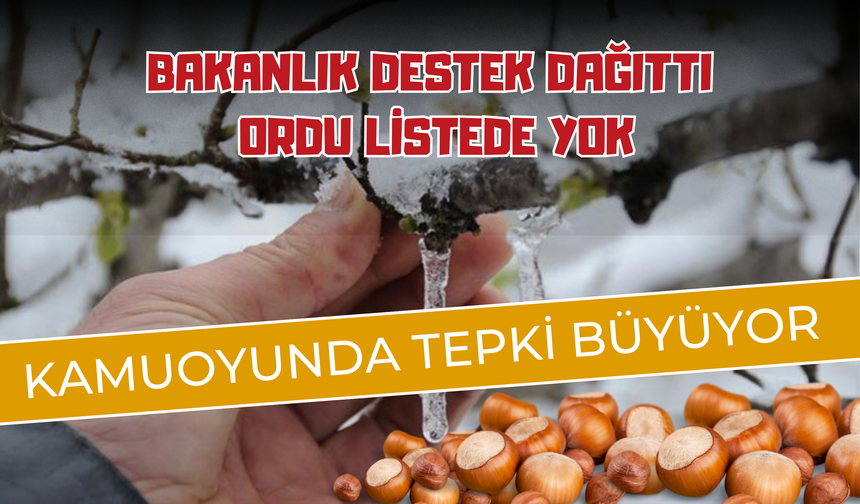 Ordu İlk Etap Ödemelerinden Yararlanamayacak