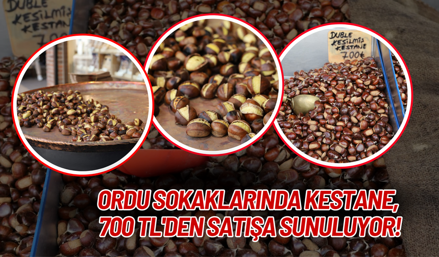 Ordu Sokaklarında Kestane, 700 TL'den Satışa Sunuluyor!