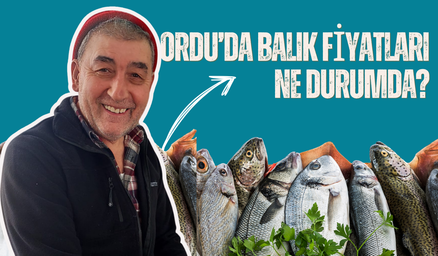 Ordu’da Balık Fiyatları Ne Durumda?
