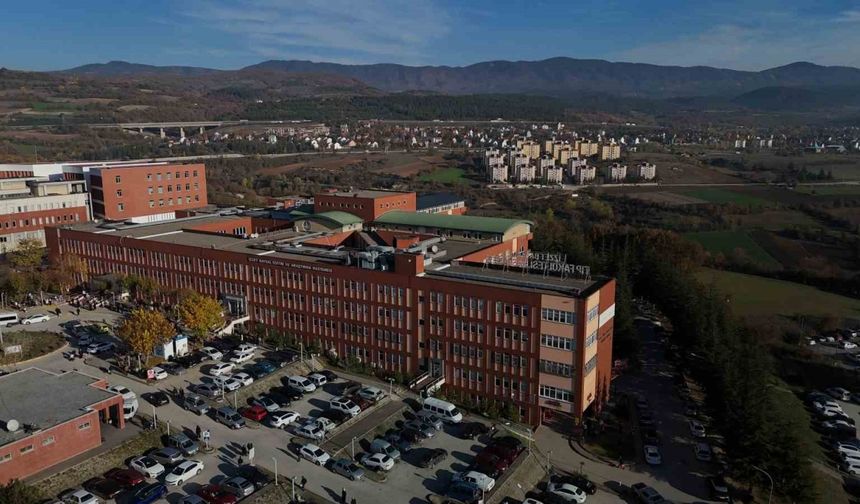 Bolu’da topladığı mantarları yiyen bir kişi zehirlendi