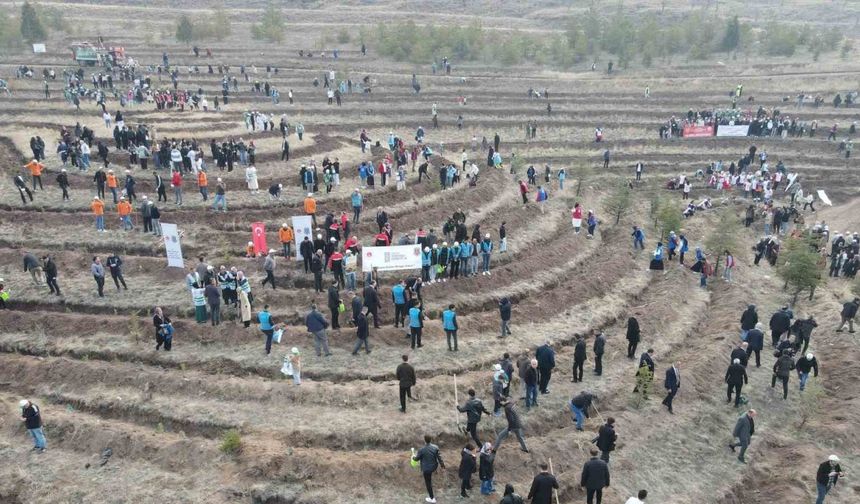 Çorum’da binlerce fidan toprakla buluşturuldu