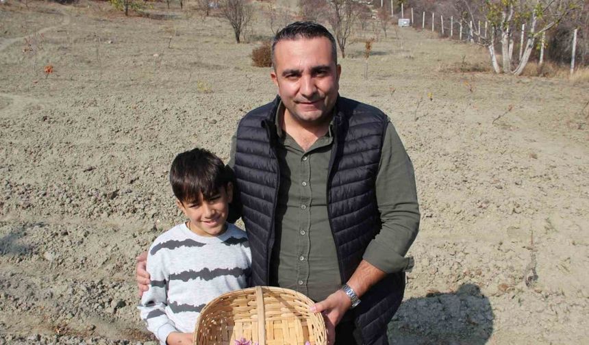 Denemek için ekti, 250 metrekarelik tarlasında dünyanın en pahalı baharatını yetiştirdi