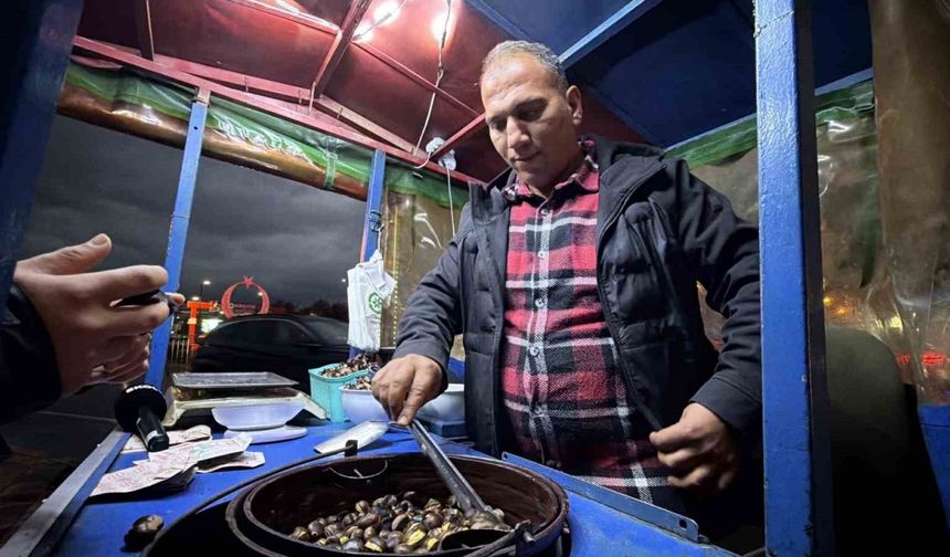 Düzce’nin coğrafi işaretli "kuzu kestanesi" tezgahları süsledi
