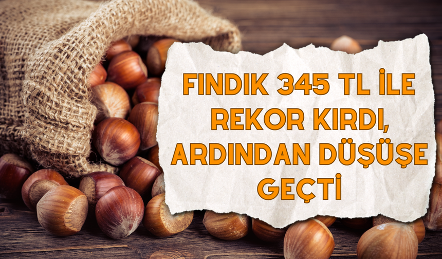 Fındık 345 TL ile Rekor Kırdı, Ardından Düşüşe Geçti