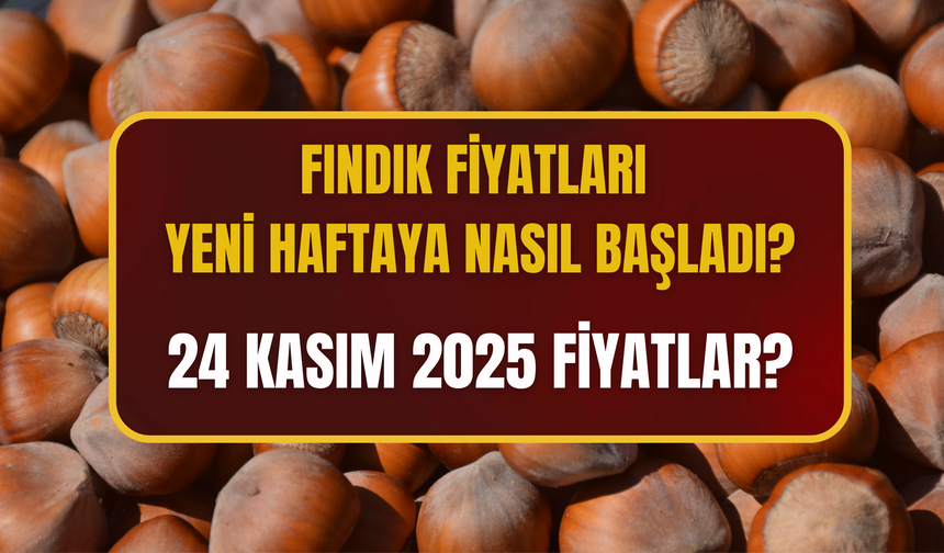 Fındık Fiyatları Yeni Haftaya Nasıl Başladı?