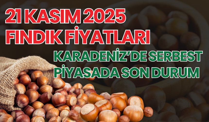 21 Kasım 2025 Fındık Fiyatları: Karadeniz’de Serbest Piyasada Son Durum