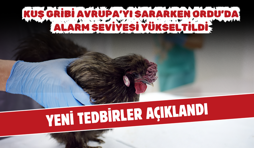 Kuş Gribi Avrupa’yı Sararken Ordu’da Alarm Seviyesi Yükseltildi