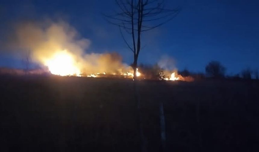 Ordu’da fındık bahçesinde yangın