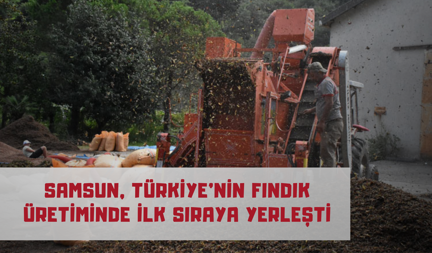 Samsun, Türkiye’nin Fındık Üretiminde İlk Sıraya Yerleşti