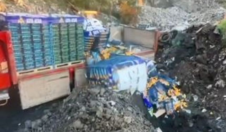 Sarp Sınır Kapısı’nda 6 ton mandalina imha edildi: Zirai ilaç kalıntısı tespit edildi