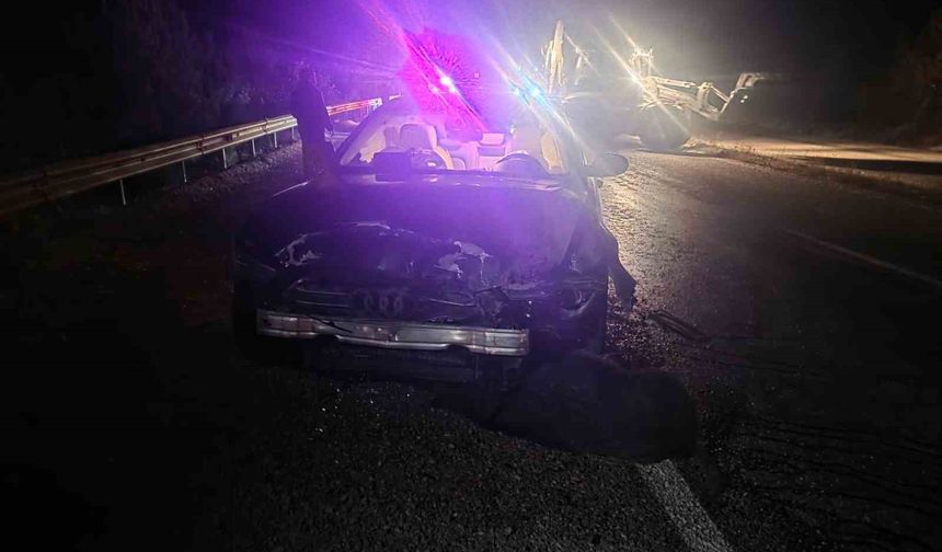 Sinop Belediye Başkanı’nın makam aracı domuz sürüsüne çarptı: Başkan kazayı yara almadan atlattı