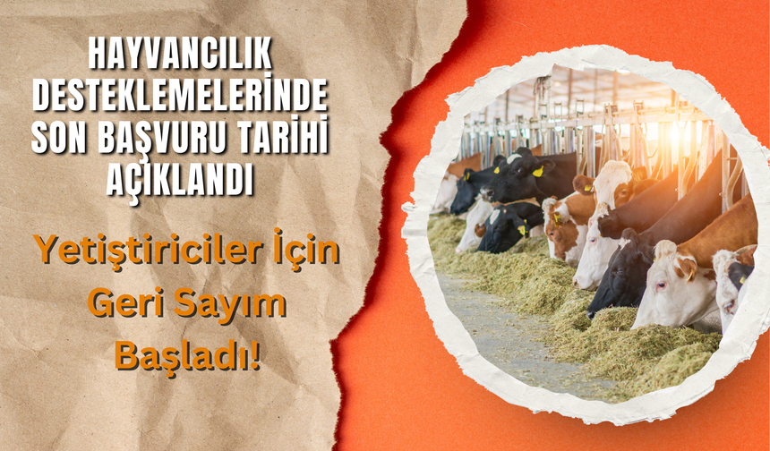 Hayvancılık Desteklemelerinde Son Başvuru Tarihi Açıklandı: Yetiştiriciler İçin Geri Sayım Başladı!