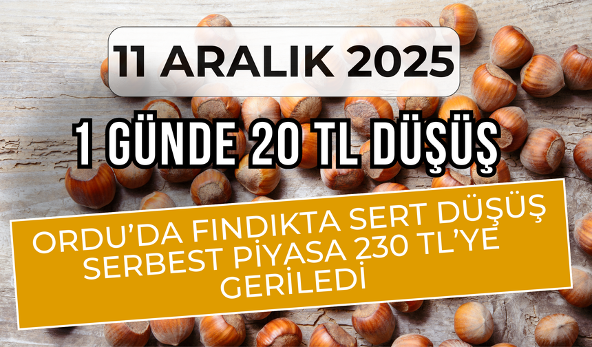 Fındık Fiyatlarında Şok: 1 Günde 20 TL Düşüş