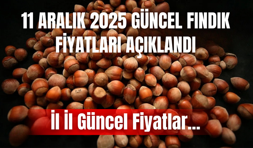 11 Aralık 2025 Güncel Fındık Fiyatları Açıklandı