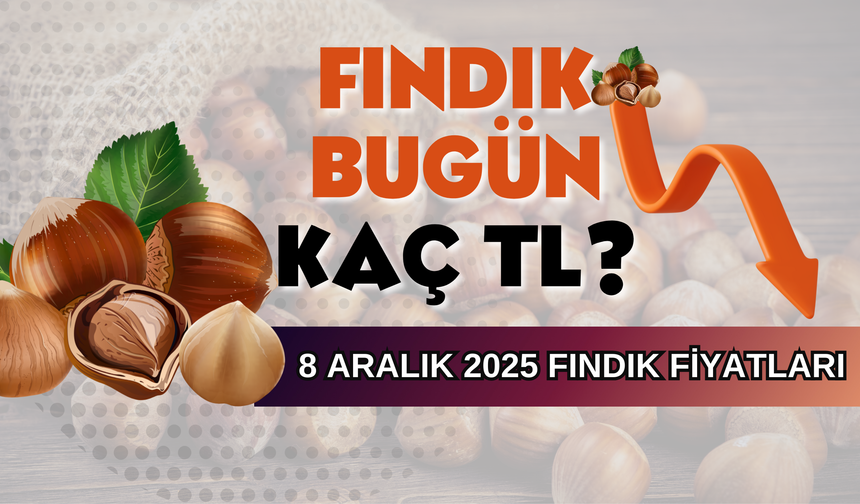 8 Aralık 2025 Fındık Fiyatları Kaç TL Oldu?