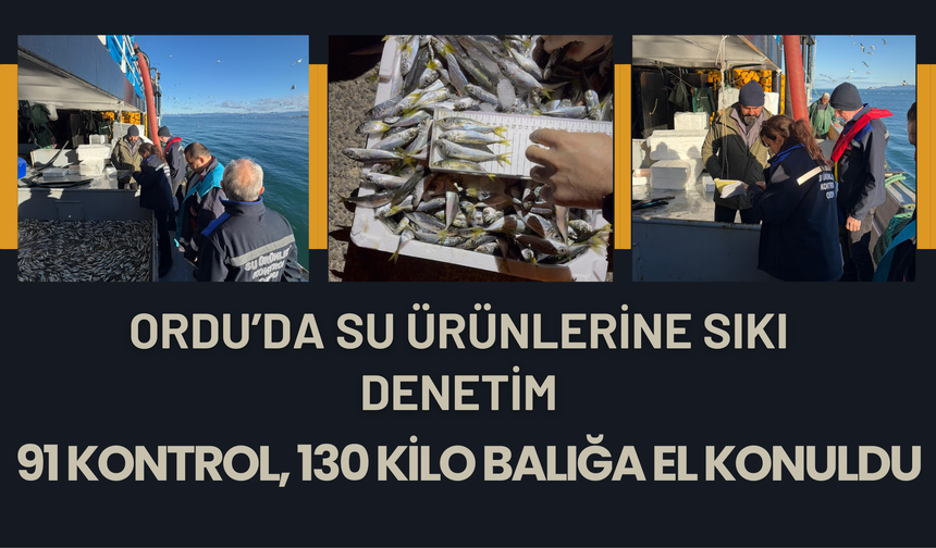 Ordu’da Su Ürünlerine Sıkı Denetim: 91 Kontrol, 130 Kilo Balığa El Konuldu