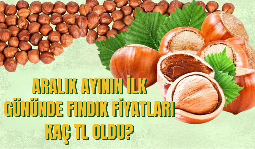 Aralık Ayının İlk Gününde Fındık Fiyatları Kaç TL Oldu?