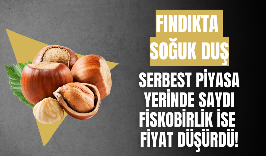 Fındıkta Soğuk Duş: Serbest Piyasa Yerinde Saydı, Fiskobirlik İse Fiyat Düşürdü!