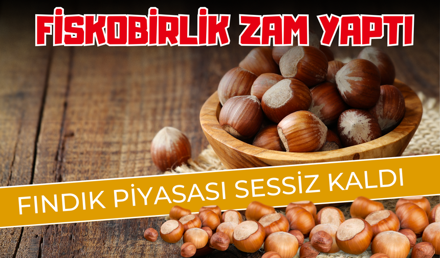 FİSKOBİRLİK Zam Yaptı, Fındık Piyasası Sessiz Kaldı