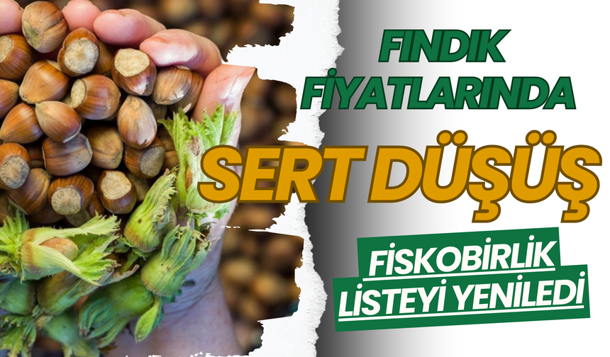 Fındık Fiyatlarında Sert Düşüş: Fiskobirlik Listeyi Yeniledi