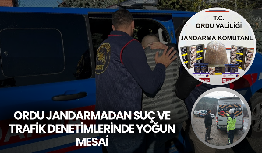 Ordu Jandarmadan Suç ve Trafik Denetimlerinde Yoğun Mesai