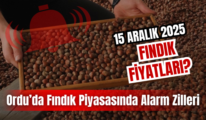Ordu’da Fındık Piyasasında Alarm Zilleri