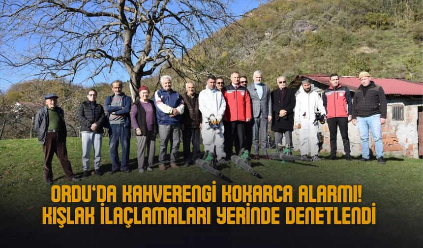 Ordu’da Kahverengi Kokarca Alarmı: Kışlak İlaçlamaları Yerinde Denetlendi