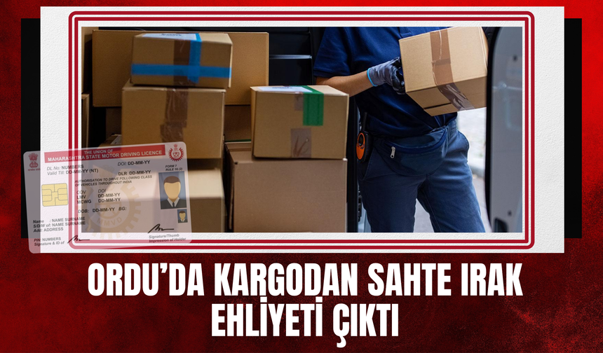 Ordu’da Kargodan Sahte Irak Ehliyeti Çıktı