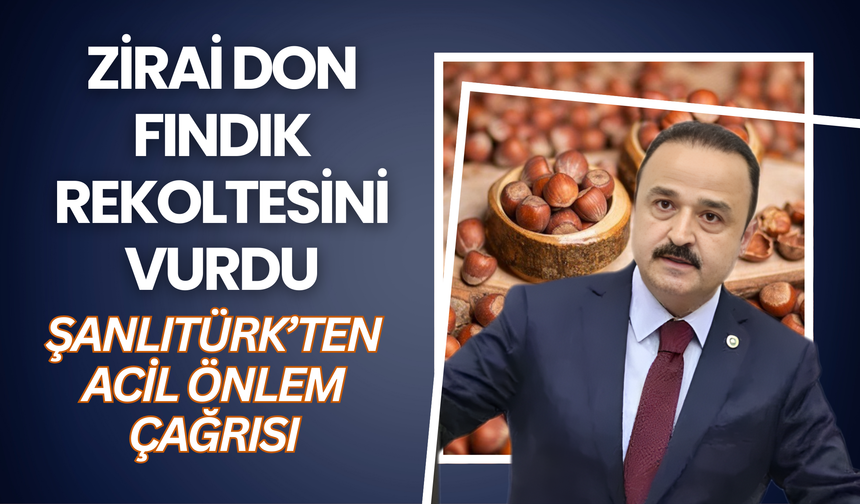 Zirai Don Fındık Rekoltesini Vurdu: Şanlıtürk’ten Acil Önlem Çağrısı