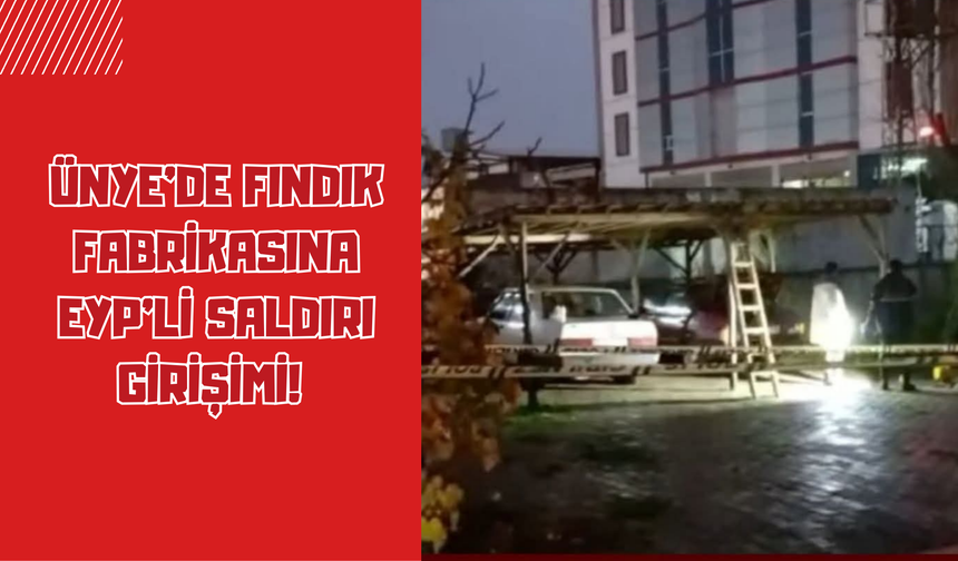 Ünye’de Fındık Fabrikasına EYP’li Saldırı Girişimi! Patlama Evin Bahçesinde Meydana Geldi
