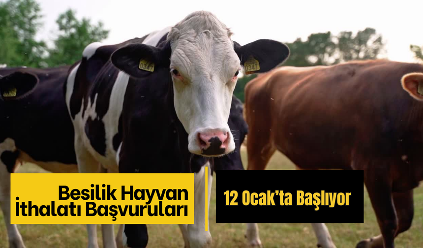 Besilik Hayvan İthalatı Başvuruları 12 Ocak’ta Başlıyor