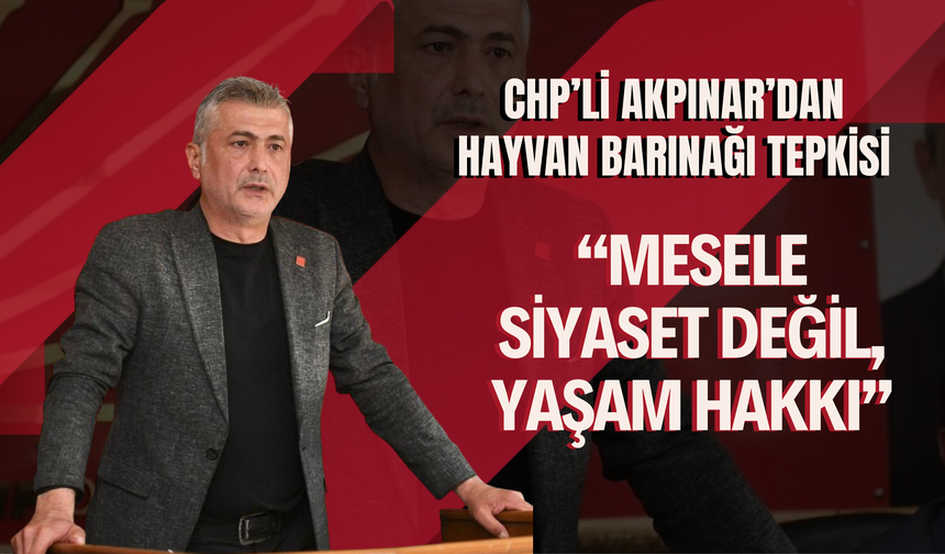 CHP’li Akpınar’dan Hayvan Barınağı Tepkisi: “Mesele Siyaset Değil, Yaşam Hakkı”