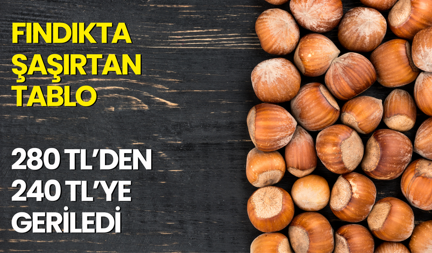Fındıkta Şaşırtan Tablo: 280 TL’den 240 TL’ye Geriledi