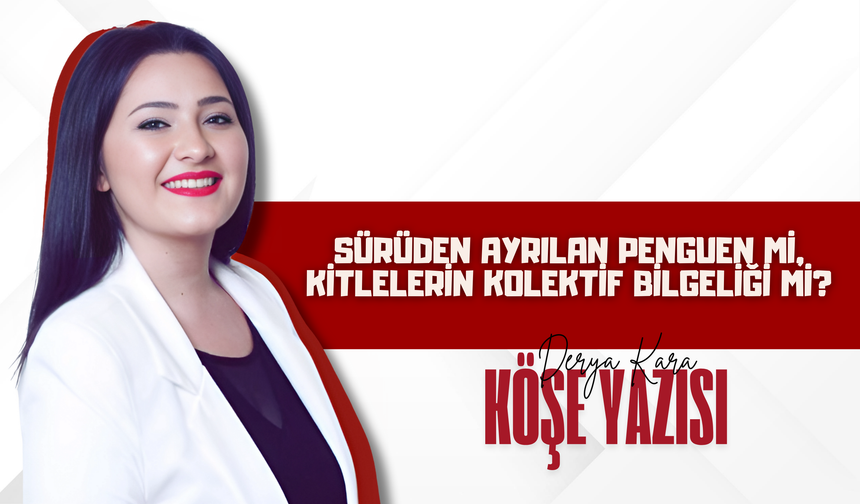 Sürüden Ayrılan Penguen mi, Kitlelerin Kolektif Bilgeliği Mi?