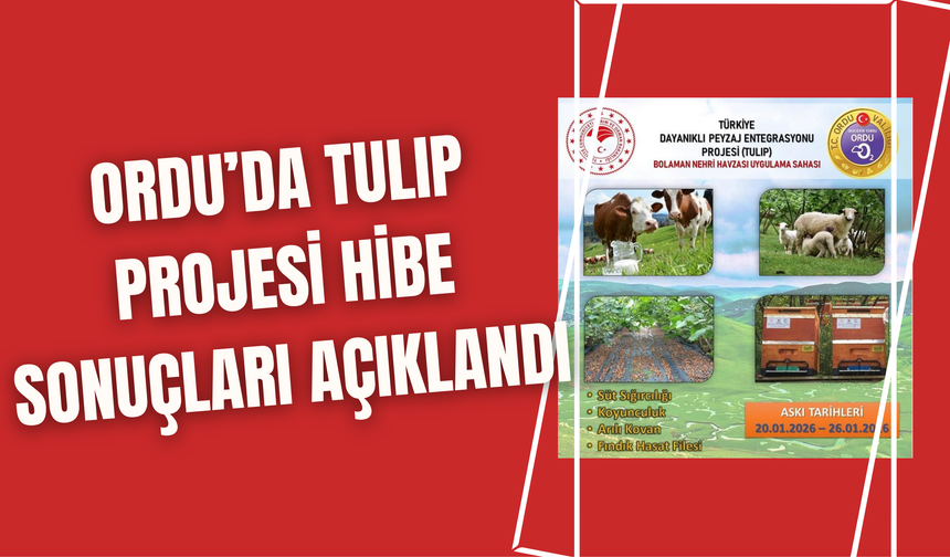Ordu’da TULIP Projesi Hibe Sonuçları Açıklandı