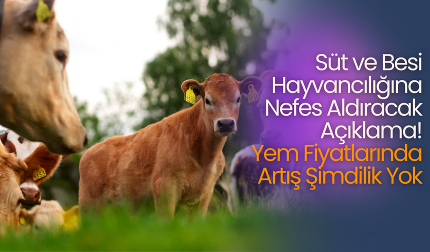 Süt ve Besi Hayvancılığına Nefes Aldıracak Açıklama