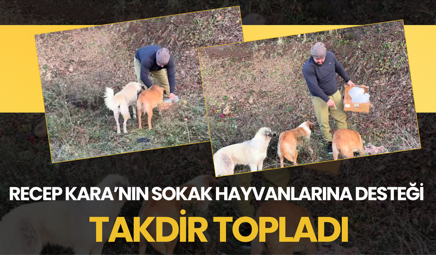 Recep Kara’nın Sokak Hayvanlarına Desteği Takdir Topladı