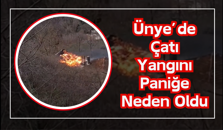 Ünye’de Çatı Yangını Paniğe Neden Oldu